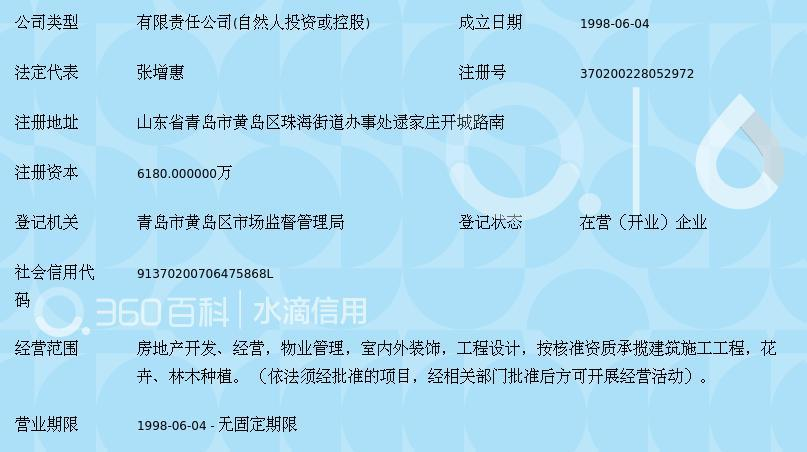 青島隆海集團(tuán)股份有限公司注冊指南與要點(diǎn)解析